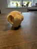 0.16mm layer, 2 walls, 5% infill
