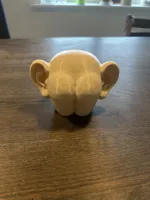 0.16mm layer, 2 walls, 5% infill