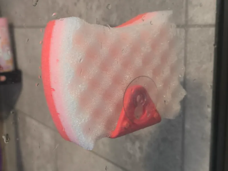Bath Sponge Hanger