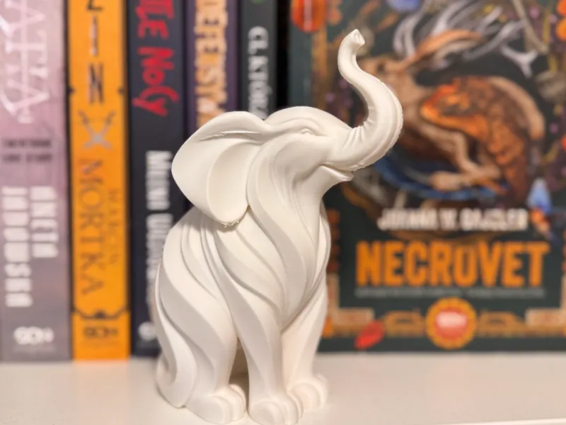 Elegant Minimalist Elephant