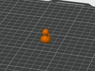 Canard