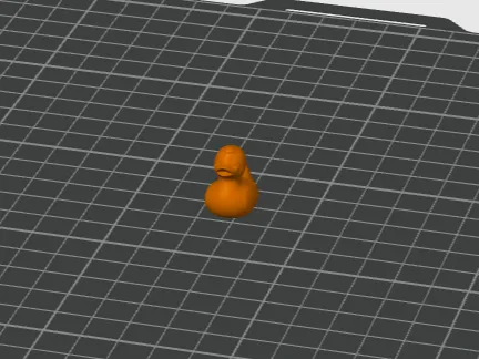 Canard