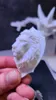 lion head m