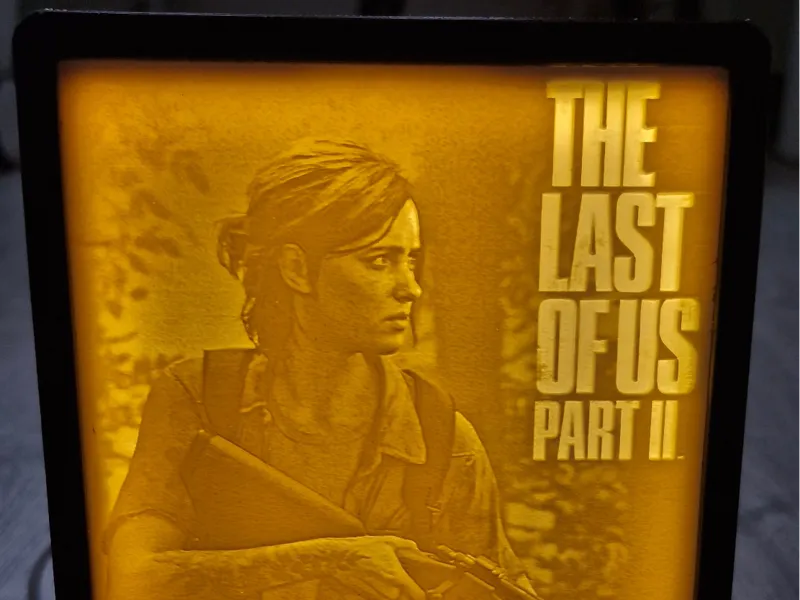 The Last of Us