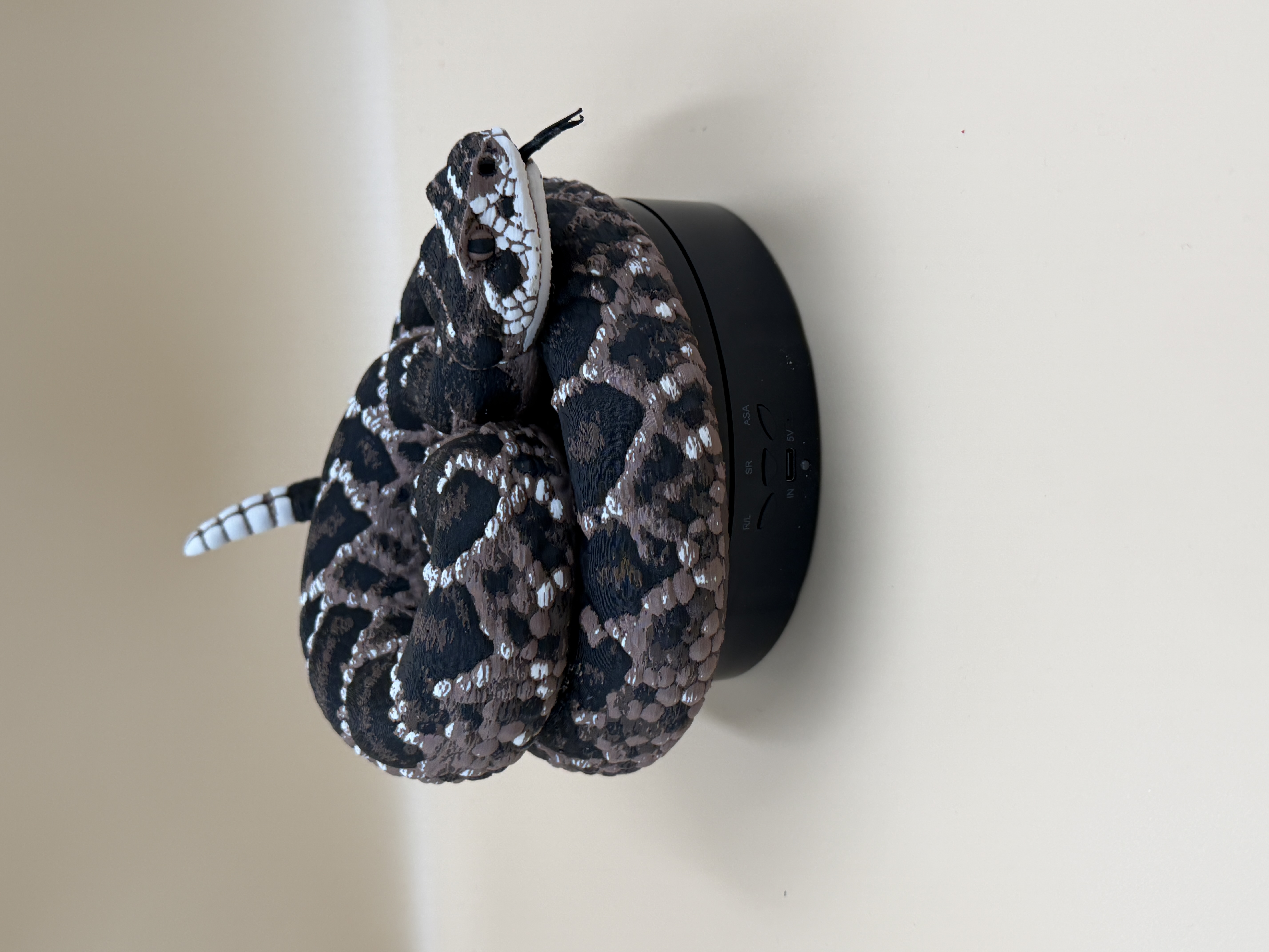 Diamondback Rattlesnake (Crotalus atrox) - Free 3D Print Model