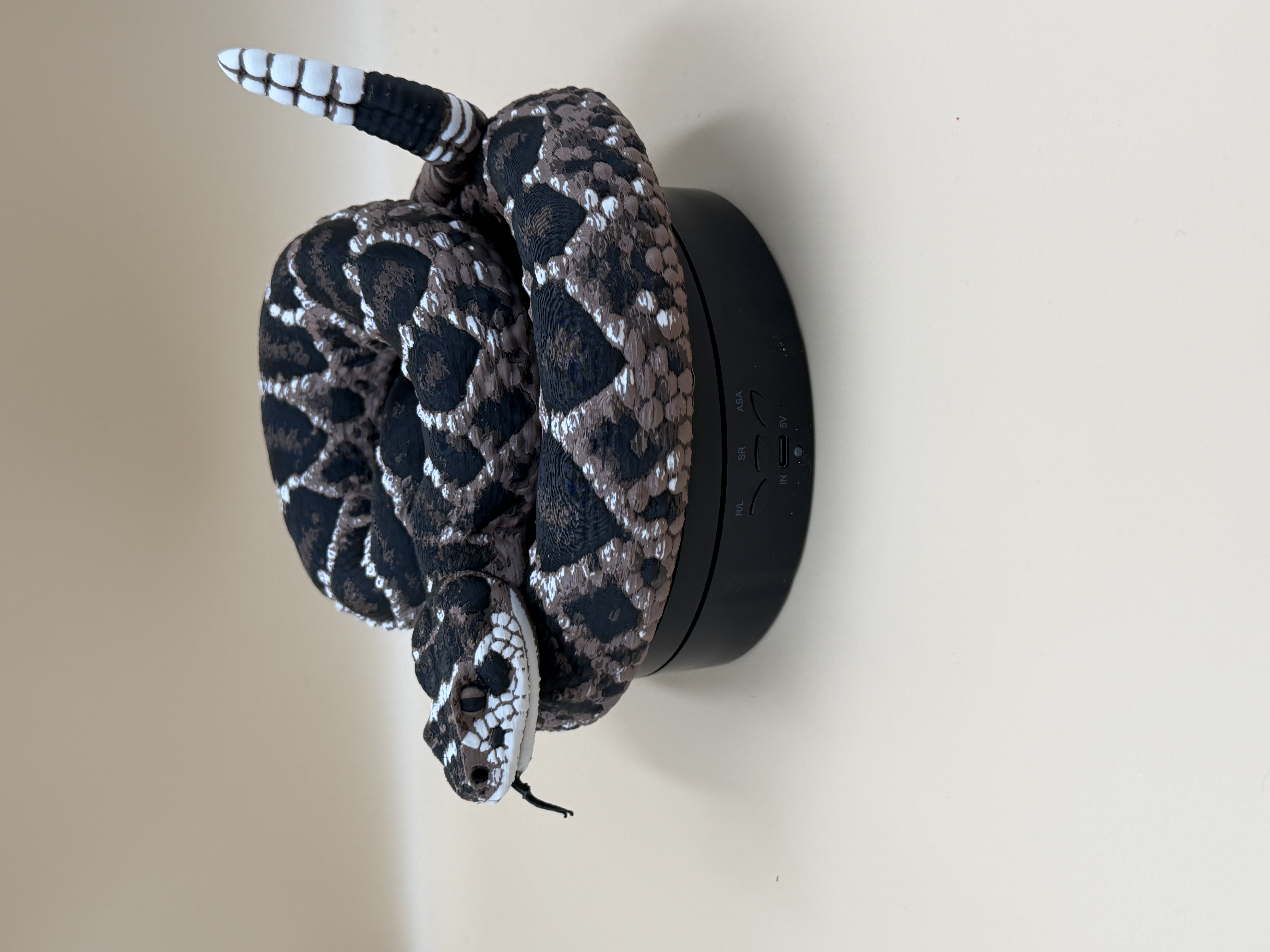 Diamondback Rattlesnake (Crotalus atrox) - Free 3D Print Model