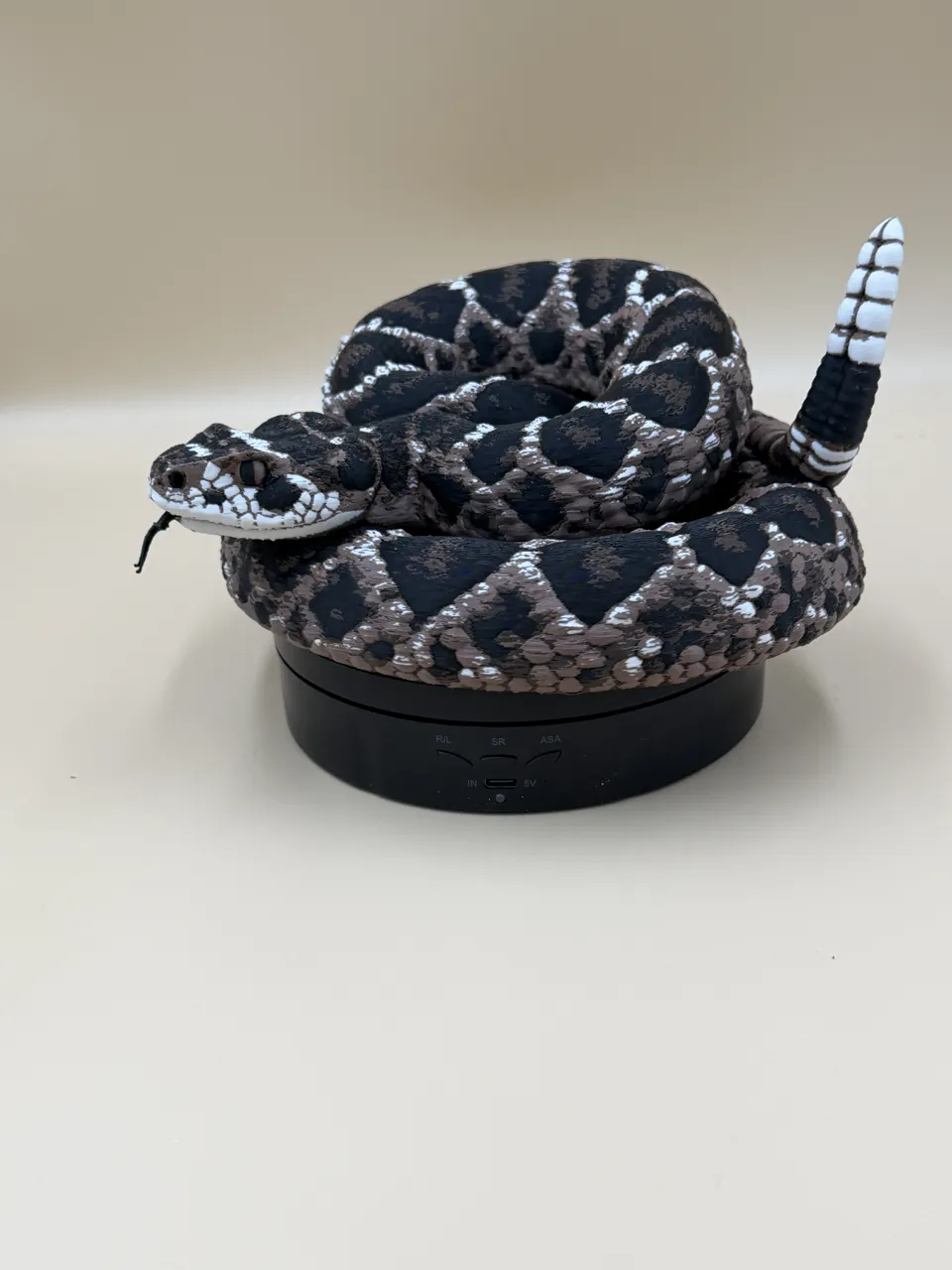 Diamondback Rattlesnake (Crotalus atrox) view 3