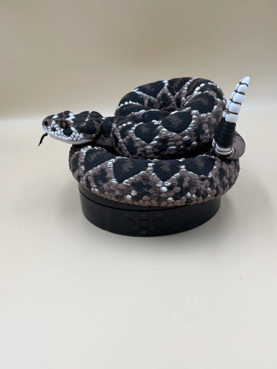 Diamondback Rattlesnake (Crotalus atrox) view 2
