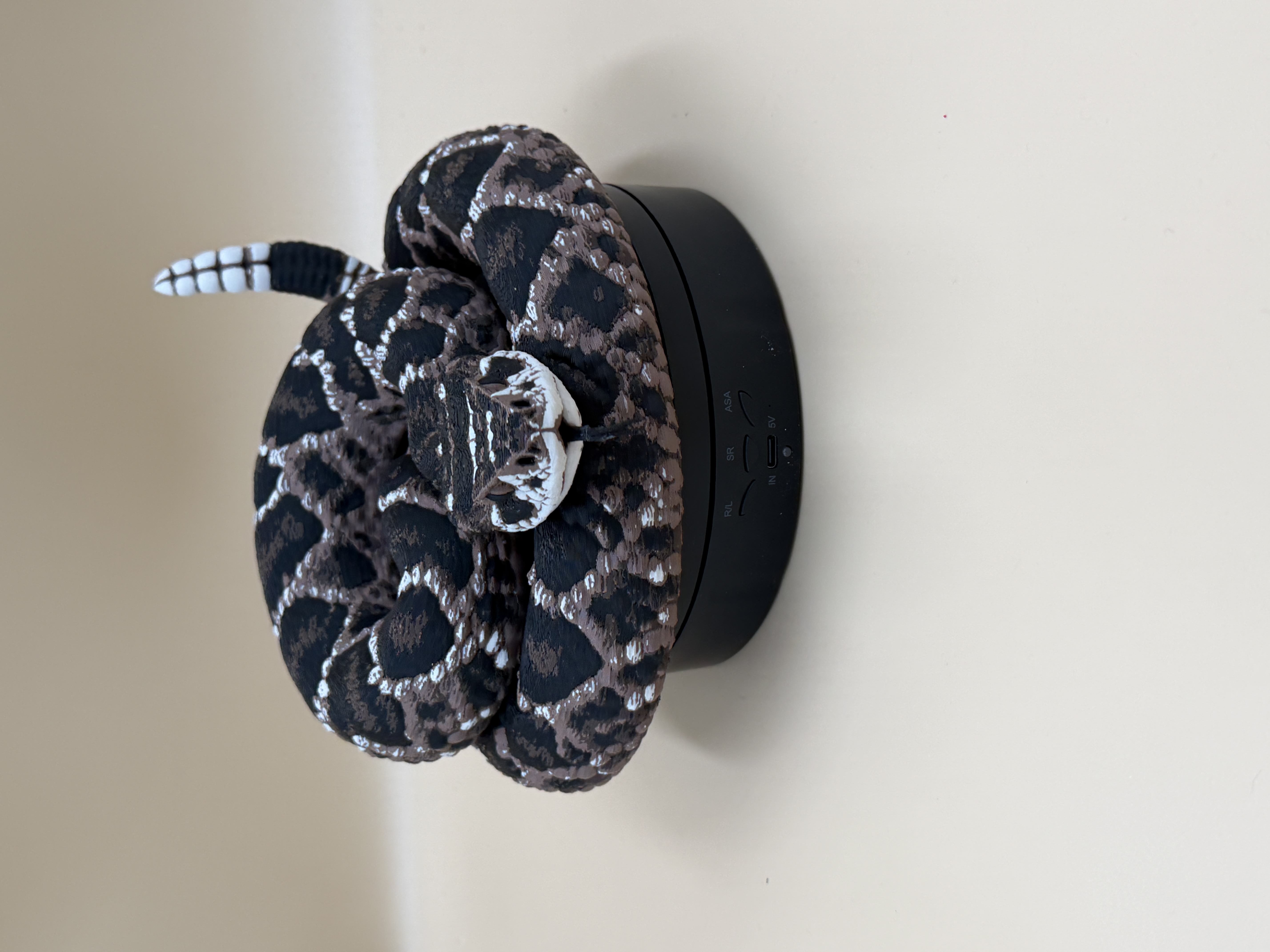 Diamondback Rattlesnake (Crotalus atrox) - Free 3D Print Model
