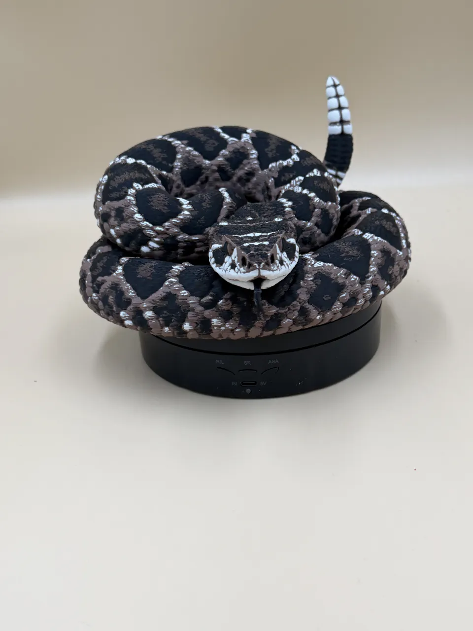 Diamondback Rattlesnake (Crotalus atrox) view 4
