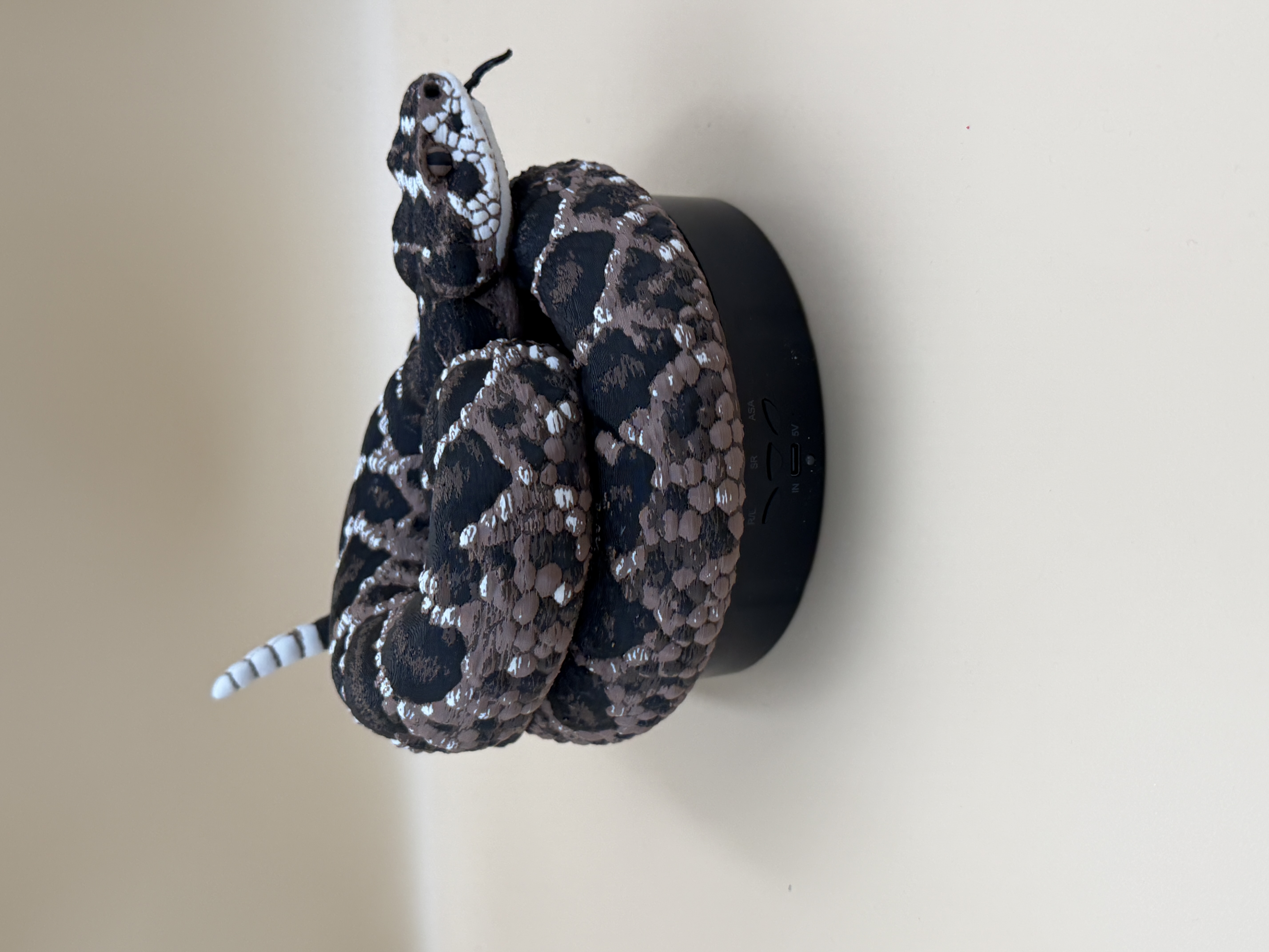 RATTLESNAKE BOX THE MODS Tracks in Anti… Diamondback Rattlesnake (Crotalus atrox) - Free 3D Print Model
