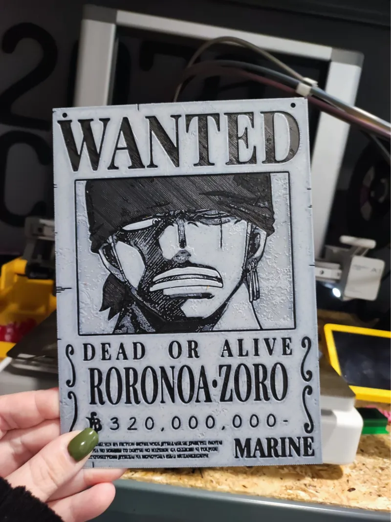 Zoro Wanted Poster
