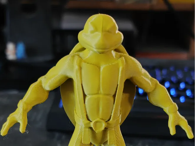 Ninja turtle