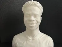 0.2mm layer, 2 walls, 10% infill