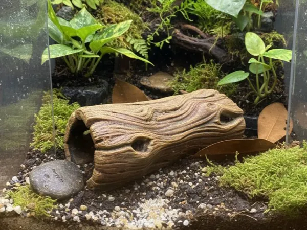 https://makerworld.bblmw.com/makerworld/model/US606b4e5fd2c088/design/2584d95d7f3c974c.jpg