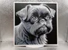 Brussels Griffon_170x170_A1 Mini