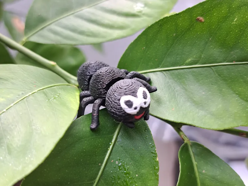 Cute Articulated Spider