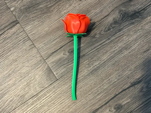 https://makerworld.bblmw.com/makerworld/model/US607dd75197a777/design/2025-08-29_ec4f0a7db0bb38.png