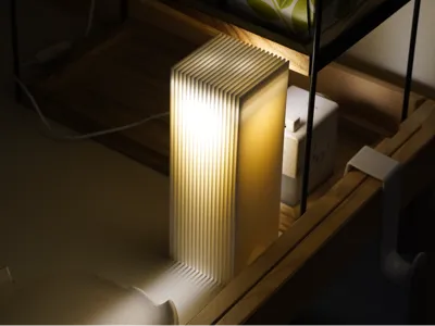 PLA Fin light