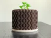 100 mm height