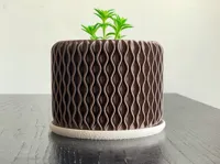 100 mm height