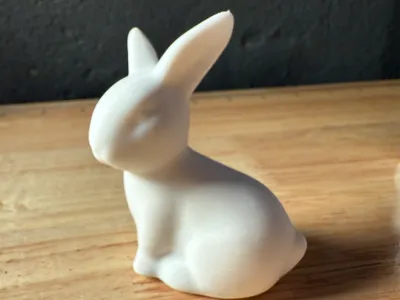 Little Bunny 