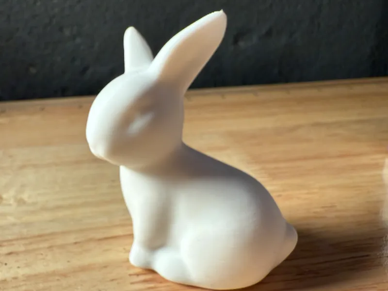 Kleiner Hase 