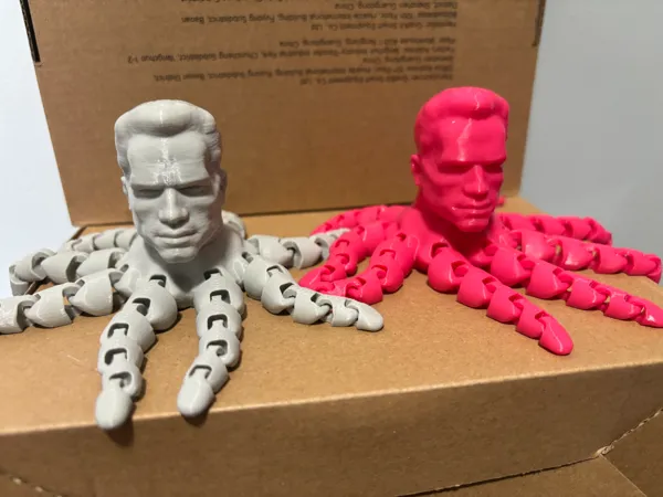 https://makerworld.bblmw.com/makerworld/model/US6085550d1ed7d5/design/2024-01-28_a86077bec67278.jpg