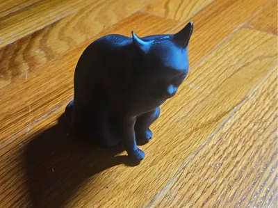 Sitting Cat