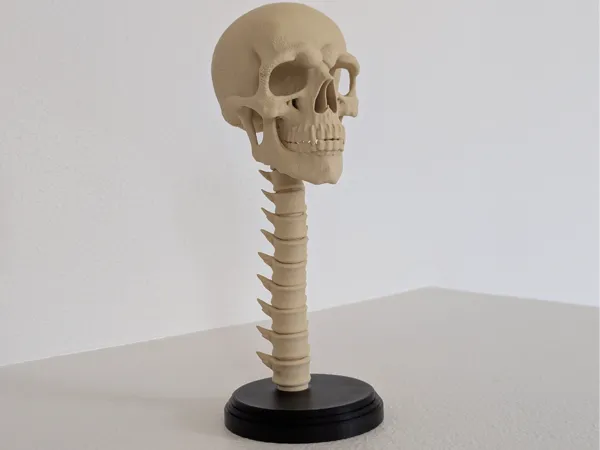 https://makerworld.bblmw.com/makerworld/model/US608ecf94f87c68/design/2025-09-07_4e30a99d291d7.jpg