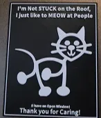 CAT SIGN - Not Stuck