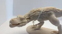Figurine Dreadmaw colossal / fantomatique — photo 9