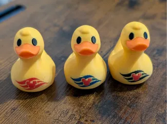 Disney Cruise Duck - AMS 3x variations 