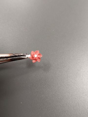https://makerworld.bblmw.com/makerworld/model/US609c2e9710dee/design/2024-05-13_7513ef4bdd0e1.gif