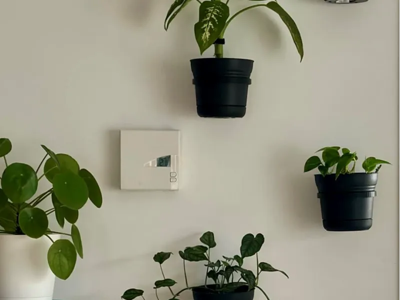 Plant Wall Mounts