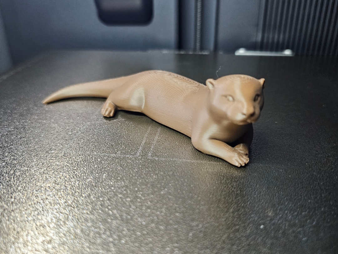 Otter - Tiere aus aller Welt