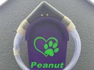 Leuchti Halsband Halter. Hundehalsband 