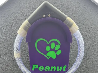 Illuminated Collar Holder. Dog Collar