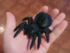 0.16mm layer, 3 walls, 15% infill