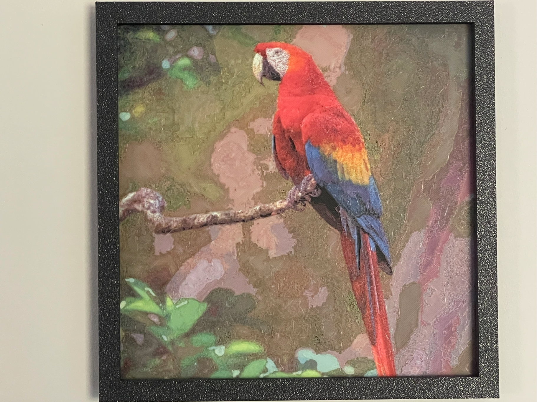 Scarlet Macaw | Polychrome 3D model
