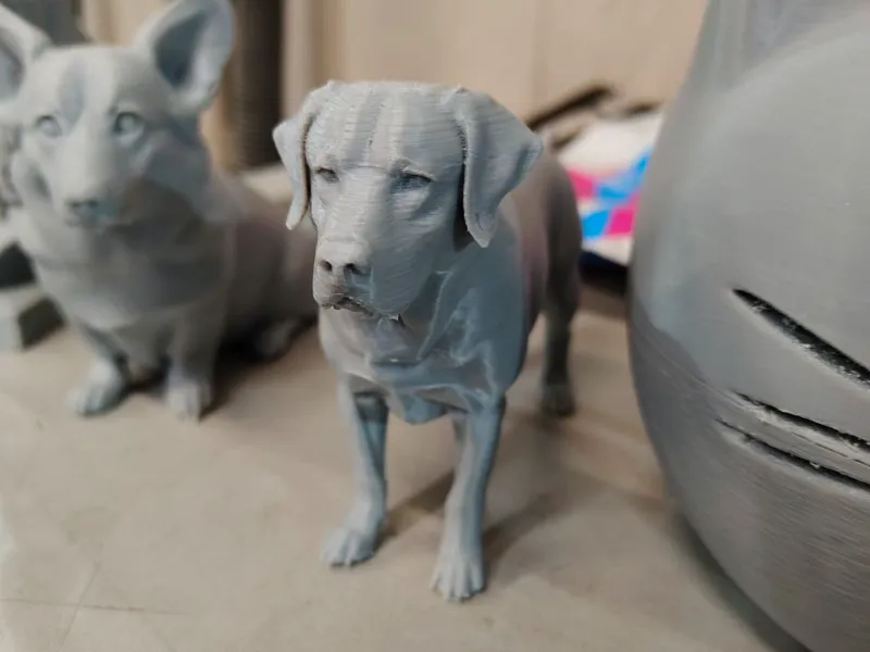 DOG 