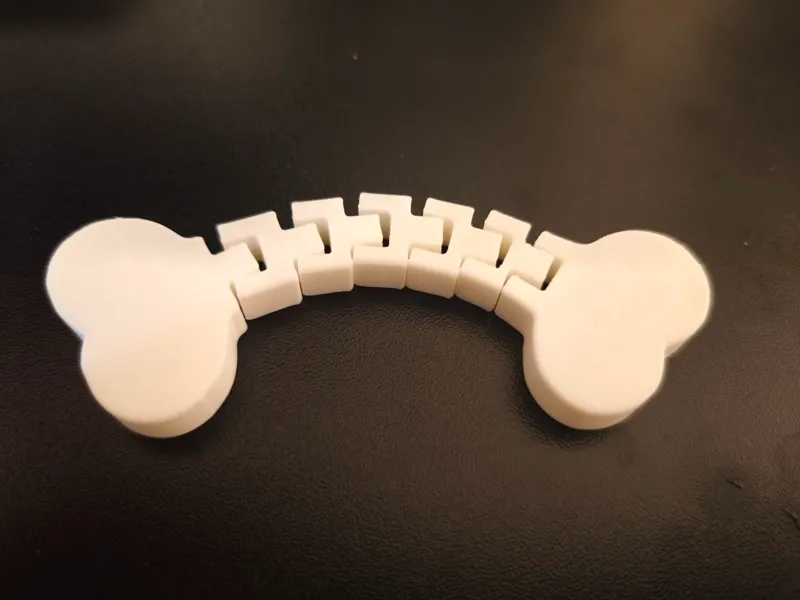 Flexi Dog Bone