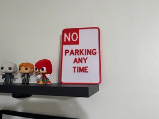 "NO PARKING ANY TIME SIGN"