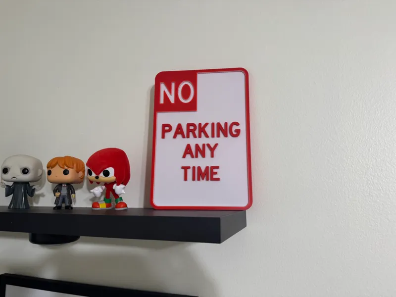 "NO PARKING ANY TIME SIGN"