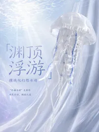 透明PETG 双色