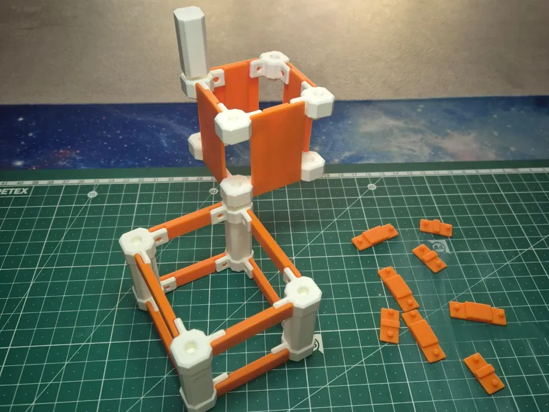 organizer