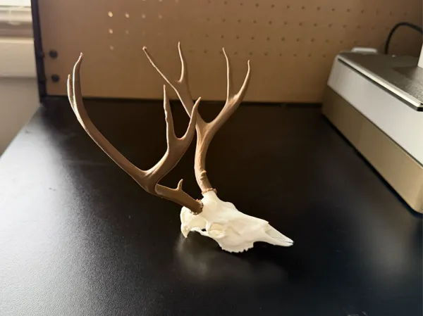 https://makerworld.bblmw.com/makerworld/model/US60d2198577b88/design/2025-12-16_6cd813c2ce47a.jpg