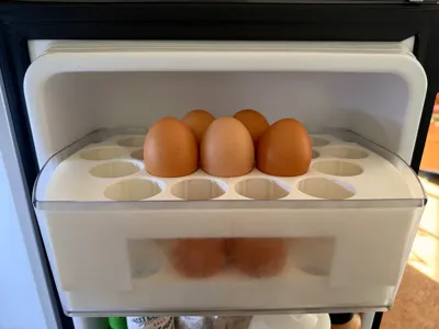 LG Refrigerator - Egg Holder