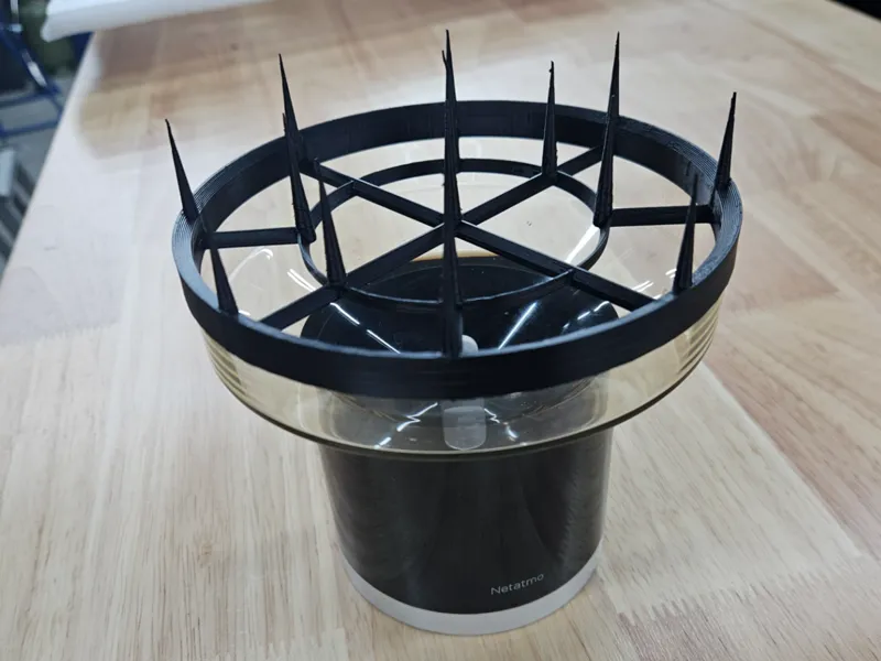 Netatmo smart wireless rain meter bird spikes