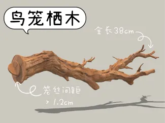 杜鹃根鸟笼栖木 小鸟站杆